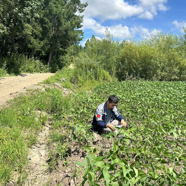 �����z�y����