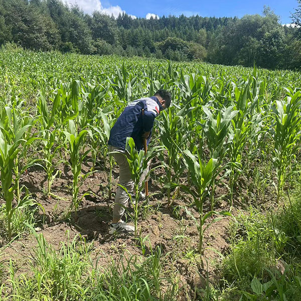 �����z�y����