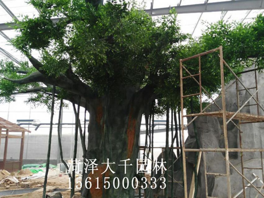 點擊查看詳細信息<br>標題：假樹 閱讀次數：1578