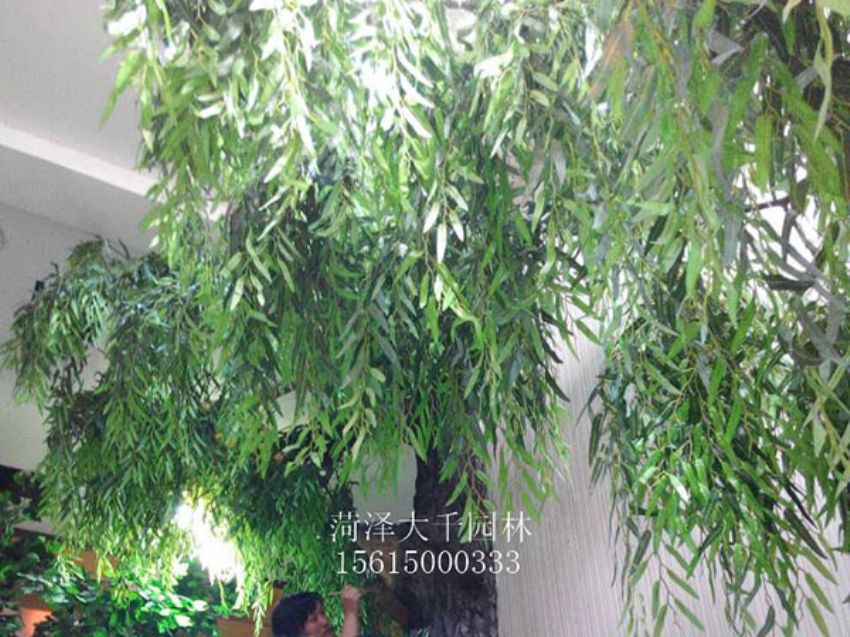點擊查看詳細信息<br>標題：假樹 閱讀次數：1520