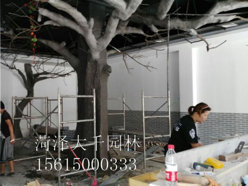 點擊查看詳細信息<br>標題：假樹 閱讀次數：1520