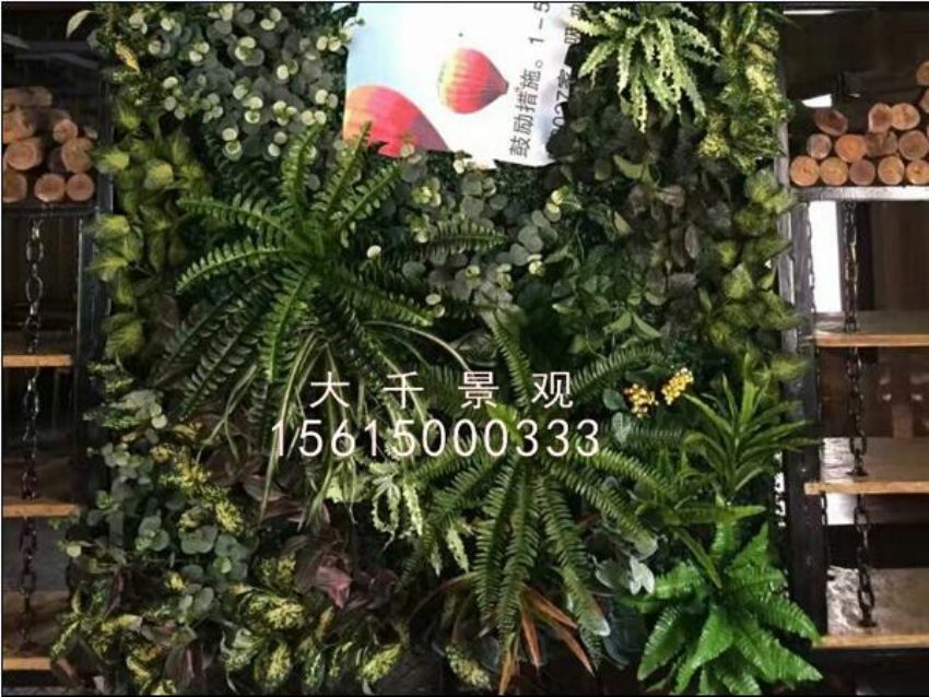 點擊查看詳細信息<br>標題：綠植墻 閱讀次數：1566