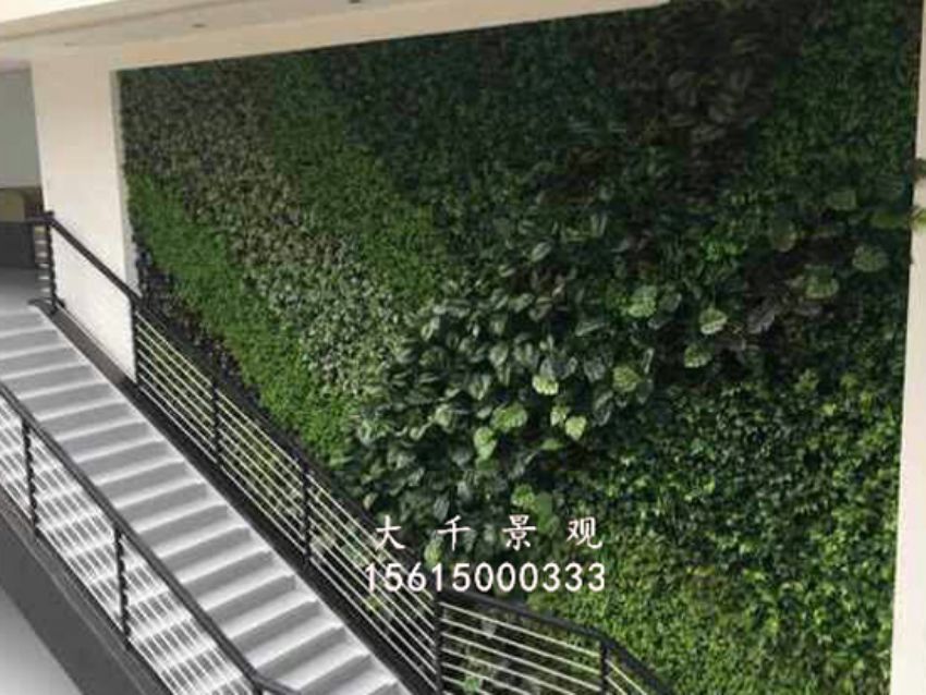 點擊查看詳細信息<br>標題：綠植墻 閱讀次數：1851