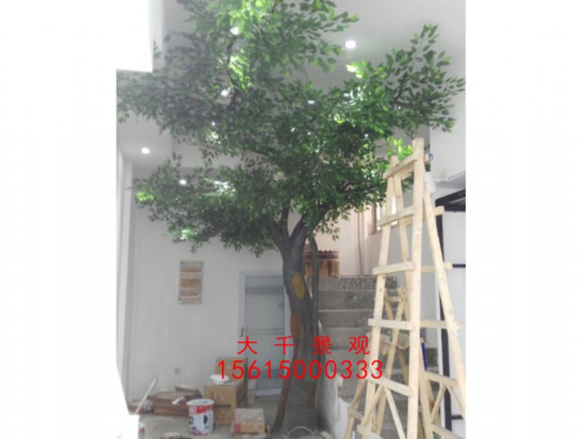 點擊查看詳細信息<br>標題：瓷磚磁瓦 閱讀次數：2509